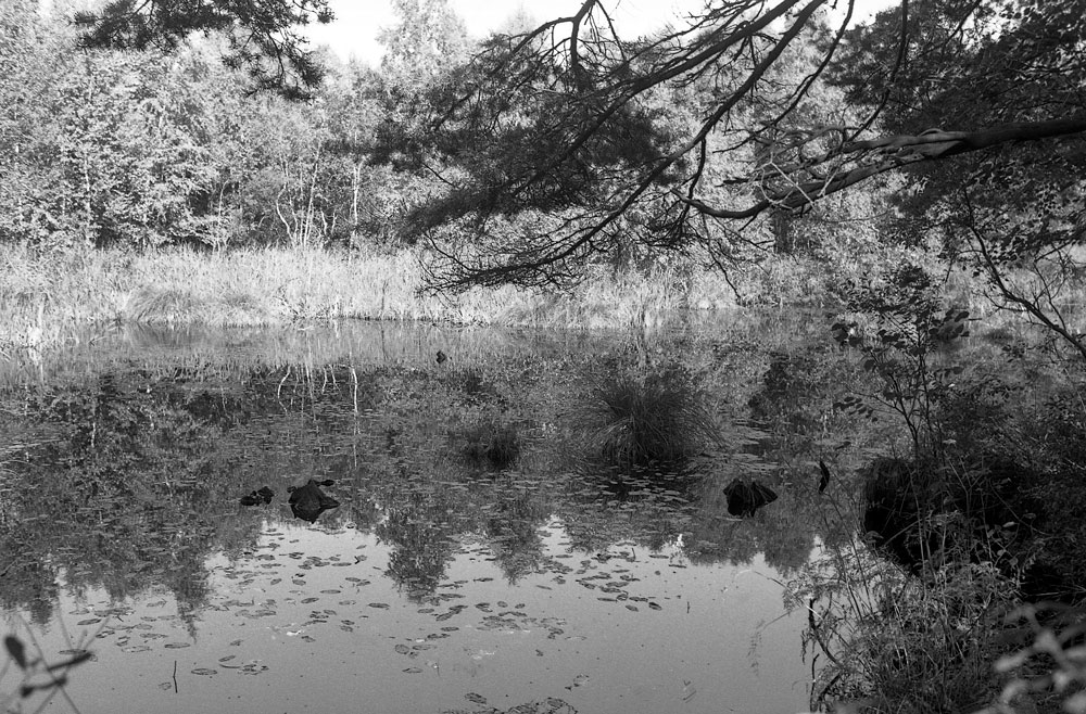 Halland