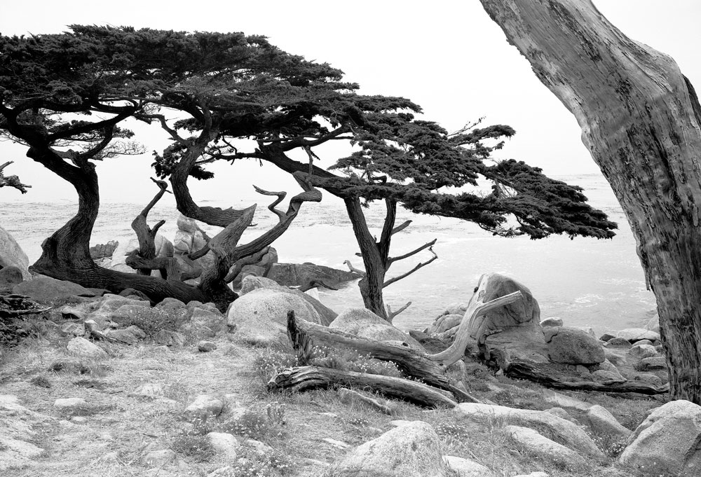 Monterey
