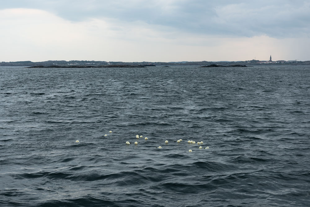 Öckerö