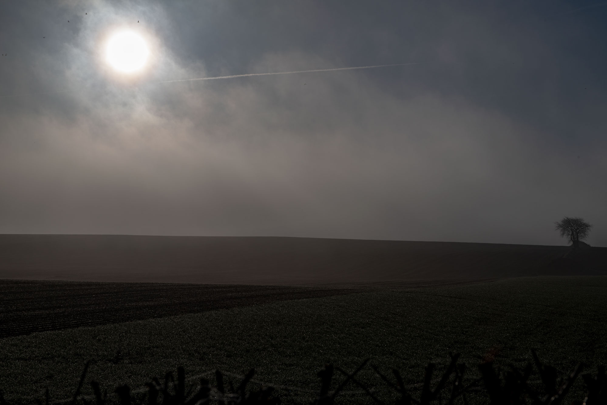 Skåne